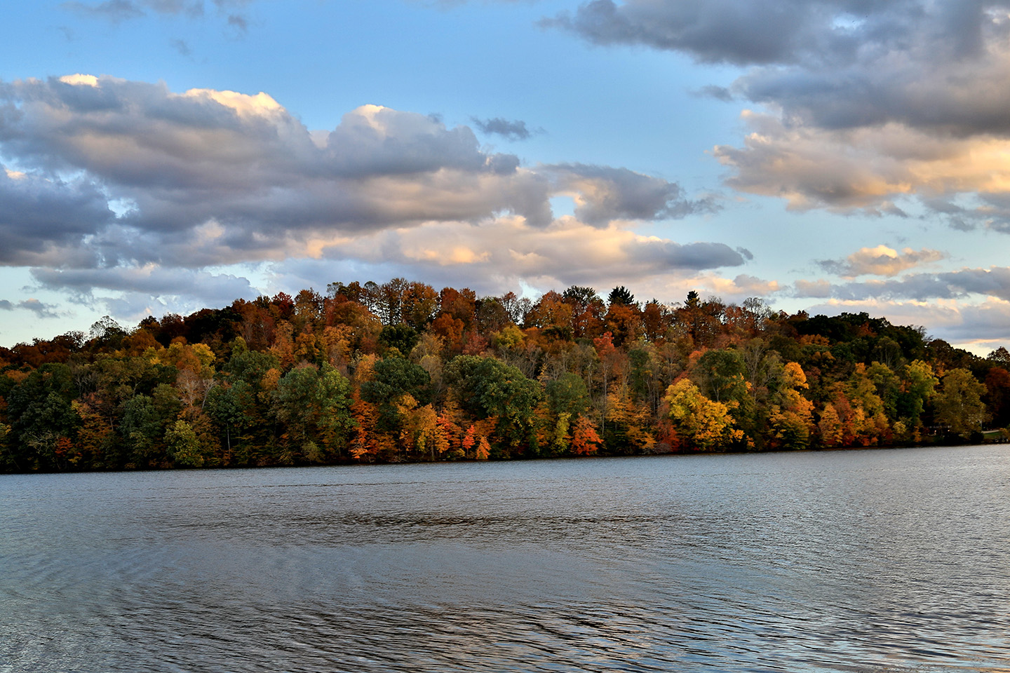 Lake Logan